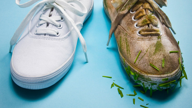 Can you take sneakers to the cleaners?
